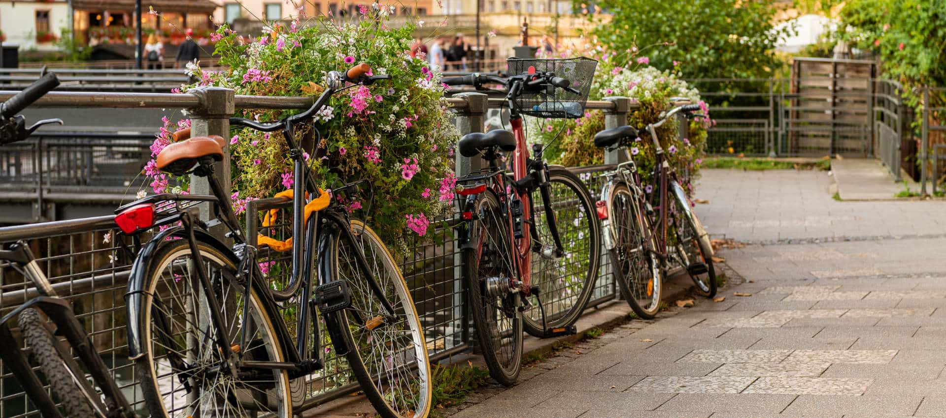 Vélos à Strasbourg